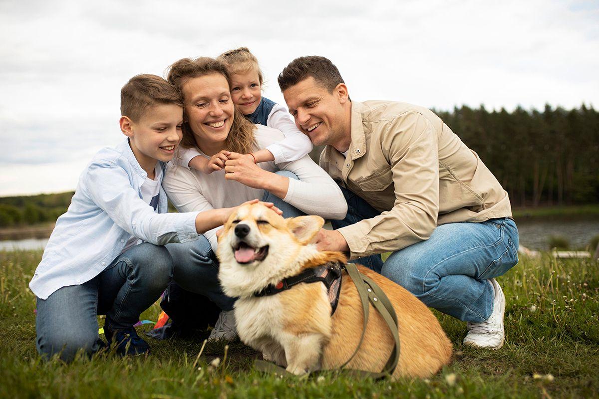 Yeni Bir Köpeğin Eve Getirilmesi: Sıcak Bir Karşılama İçin Pratik Bilgiler